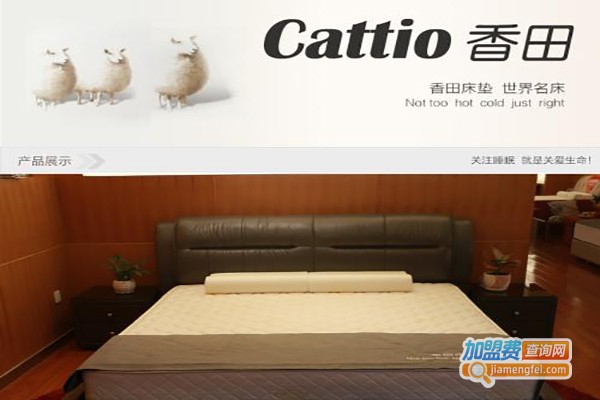 cattio香田床垫加盟费