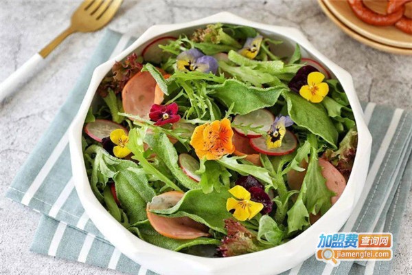 菊苣沙拉加盟费