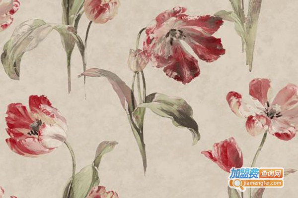 里斯戴尔加盟费