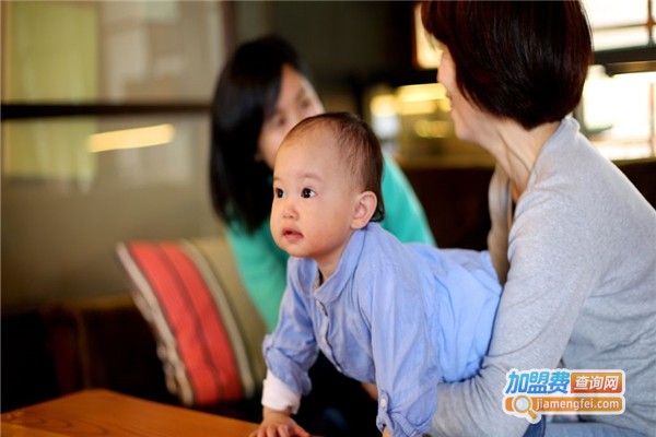 神州智慧星加盟费