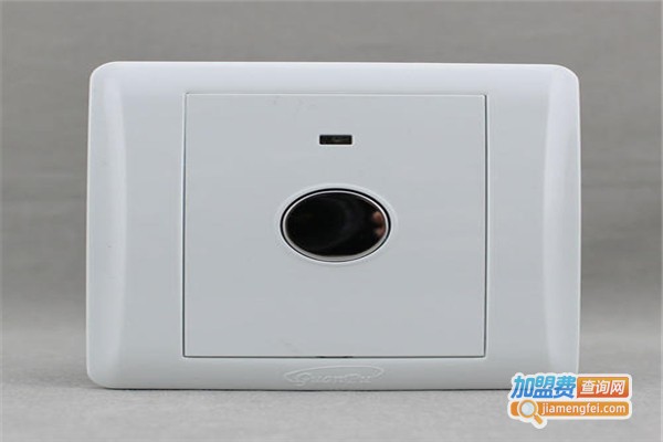 触摸艺术开关加盟费