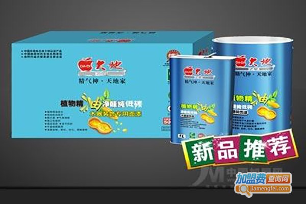 大地之星漆加盟店