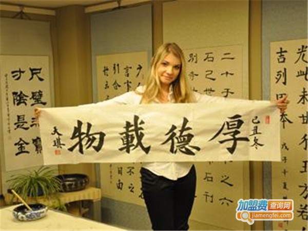 陈翔四力法加盟费