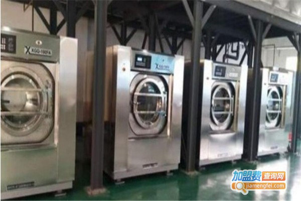 伊丽莎洗衣加盟费