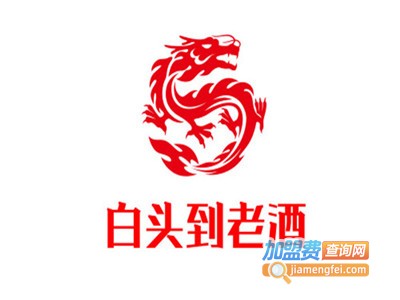 白头到老酒加盟费