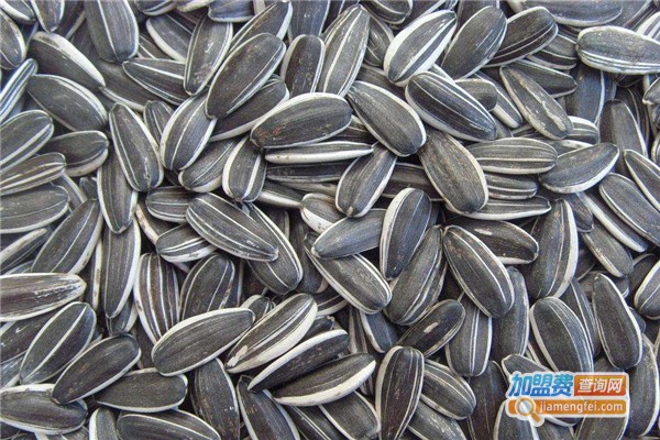 孟记瓜子加盟费