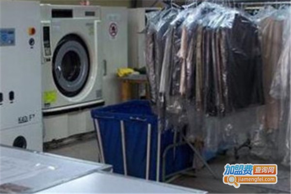 阿尔莎洗衣加盟费