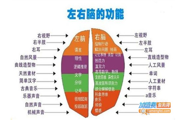 乐醒全脑教育加盟费