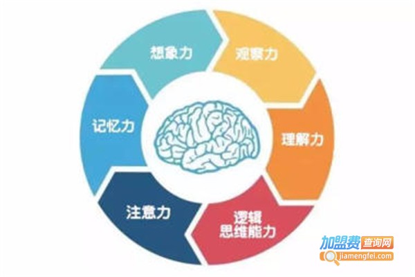 乐醒全脑教育加盟费