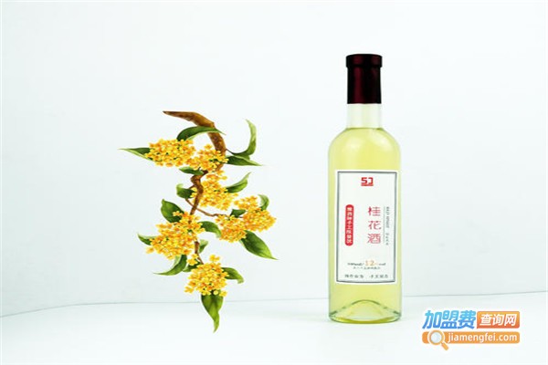 李老汉杨梅酒加盟费