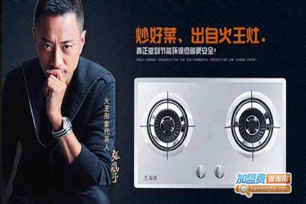 火王厨电加盟费
