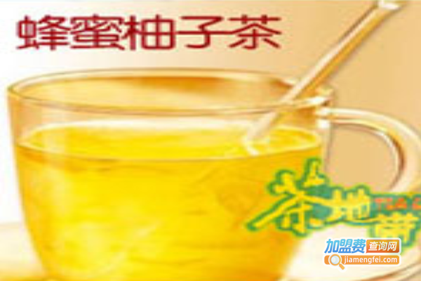 茶地带饮品加盟费