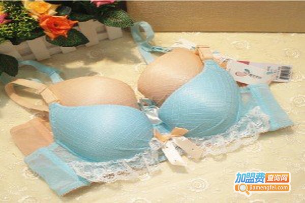 娜姿梦霓内衣加盟费