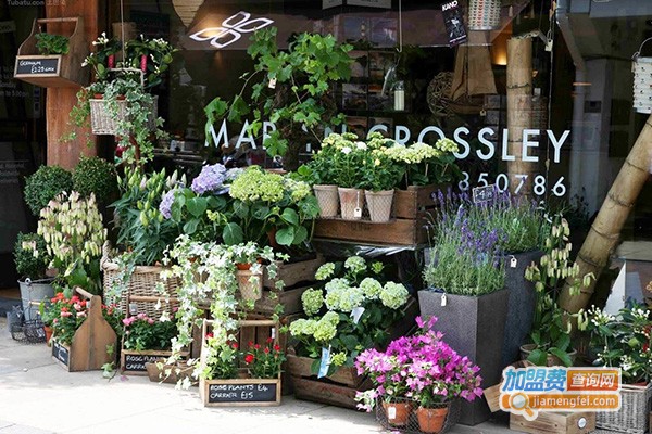 苏芳花卉加盟门店