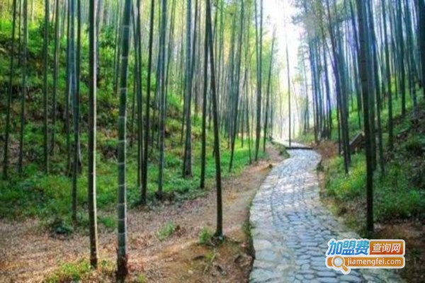 天沐良竹园艺加盟费