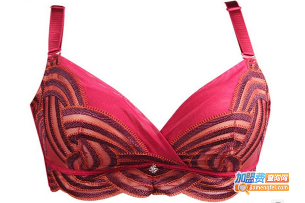 莎莲妮内衣加盟费