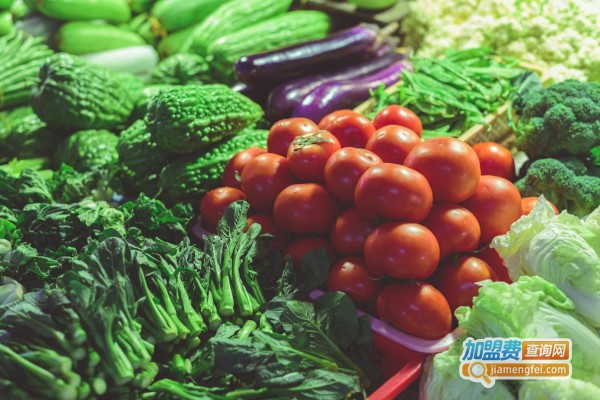 百农生鲜加盟费