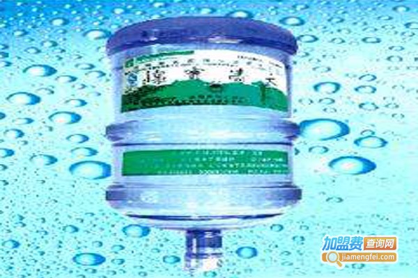 大清宝泉水站加盟费