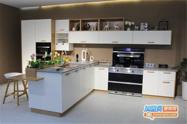 卓意珐帝诺橱柜加盟费