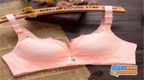 黄金姿秀内衣加盟费