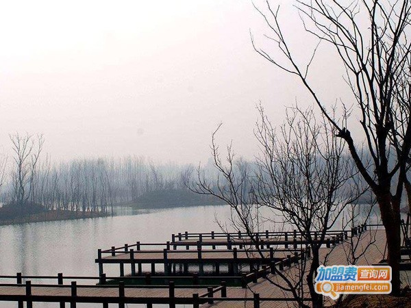 千奇百怪影像坊