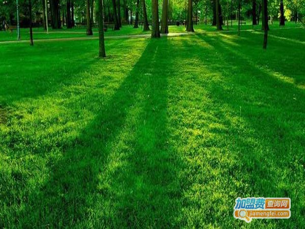 好眼力视力恢复加盟费