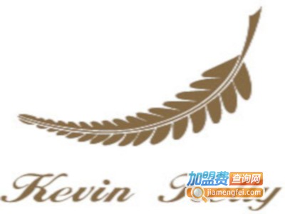 凯文凯利男装加盟