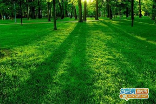 养瞐堂视力恢复加盟费