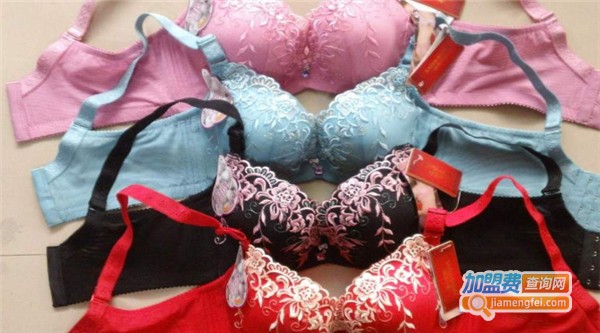 罗曼蒂克内衣加盟费