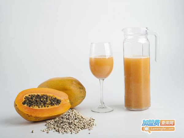 山老九饮料加盟费