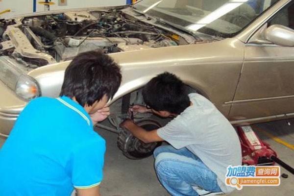 太立补加盟门店