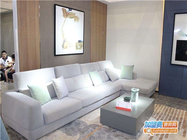 帝标沙发加盟费