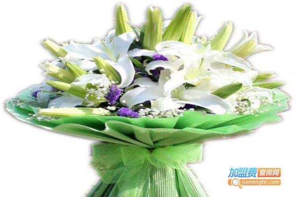 西丽鲜花店加盟费