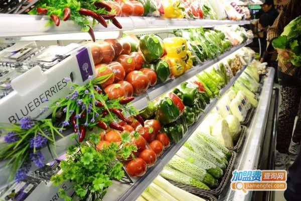 百农生鲜加盟费