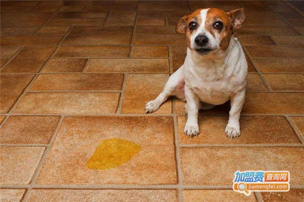 顽皮家族宠物医院