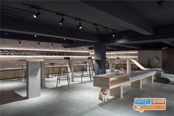 猫屋主题咖啡厅加盟费