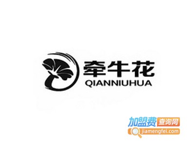 牵牛花童装加盟费