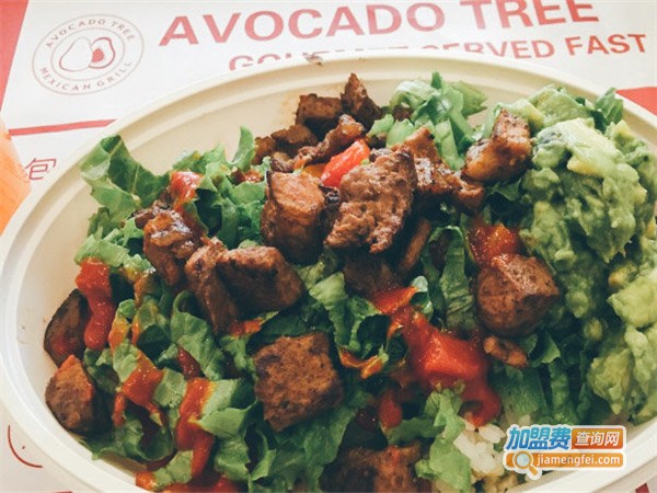 油梨树加盟门店