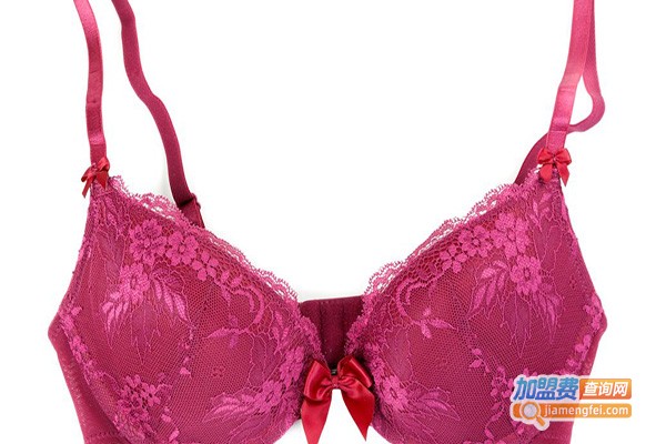 女人花帜内衣加盟门店