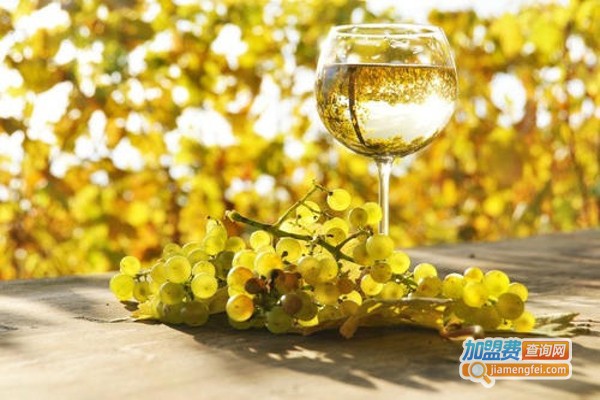 伊凡尼干白葡萄酒加盟费