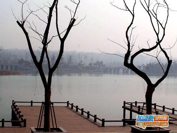 千奇百怪影像坊