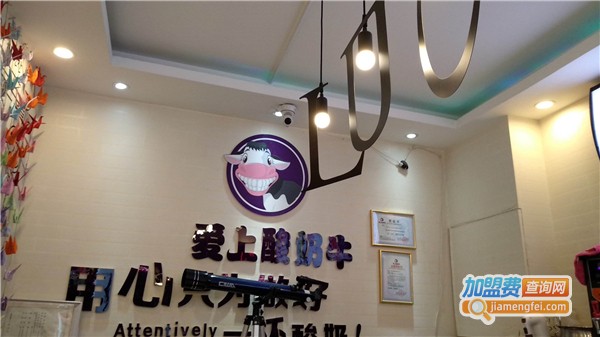 爱上酸奶牛加盟费