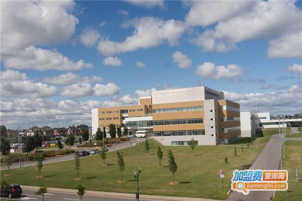 维纳职业技术培训加盟费