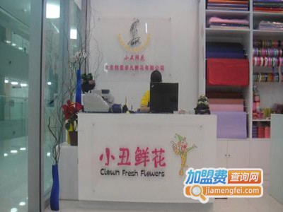 小丑鲜花店