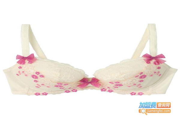 莱纳莉内衣加盟门店