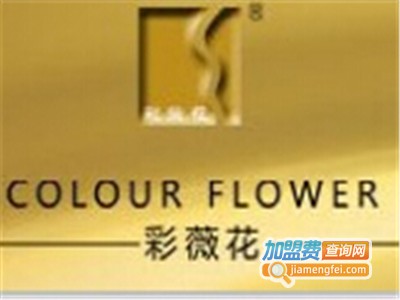 彩薇花化妆品加盟费