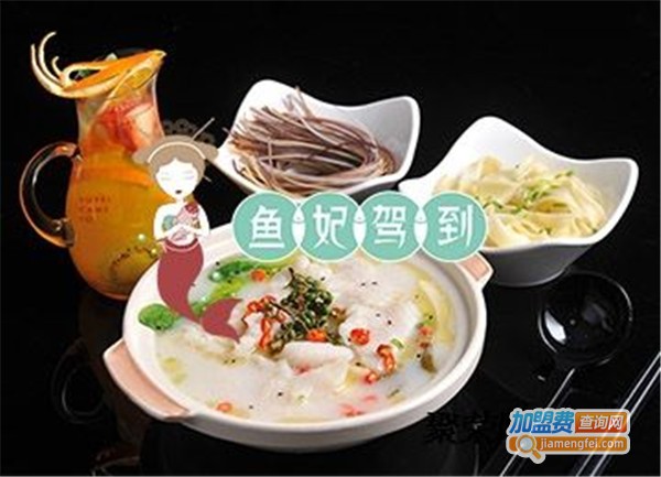 鱼妃驾到五谷鱼粉加盟费