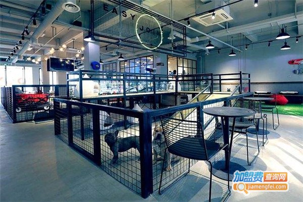 克姆陪您宠物主题咖啡加盟费