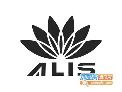 爱丽斯汽车用品加盟费