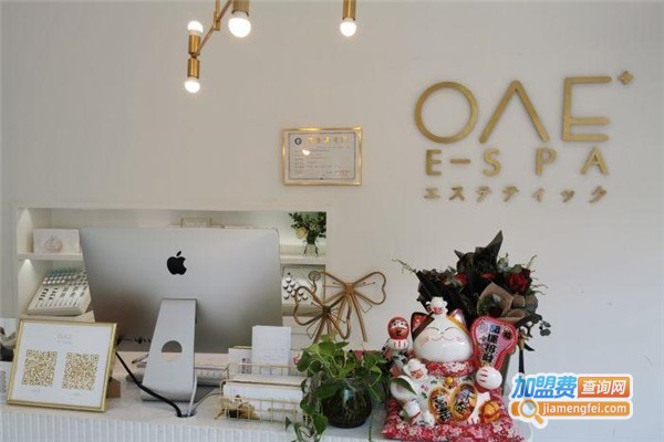 OAE日式皮肤管理加盟费